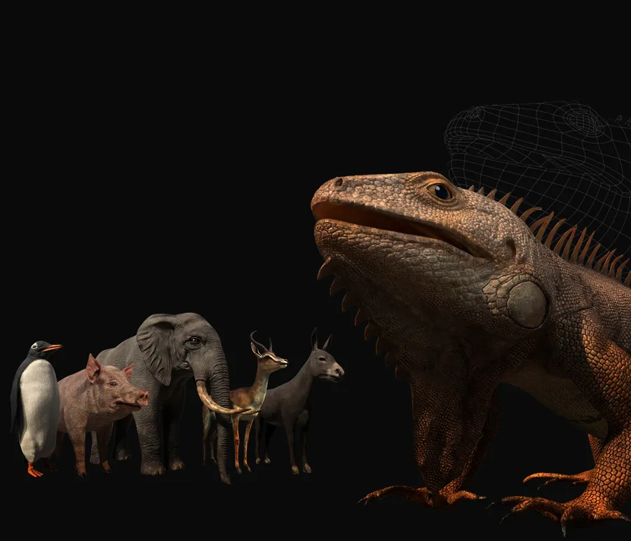 Animal Pack creature sculptures created by Solmaz Hadavand